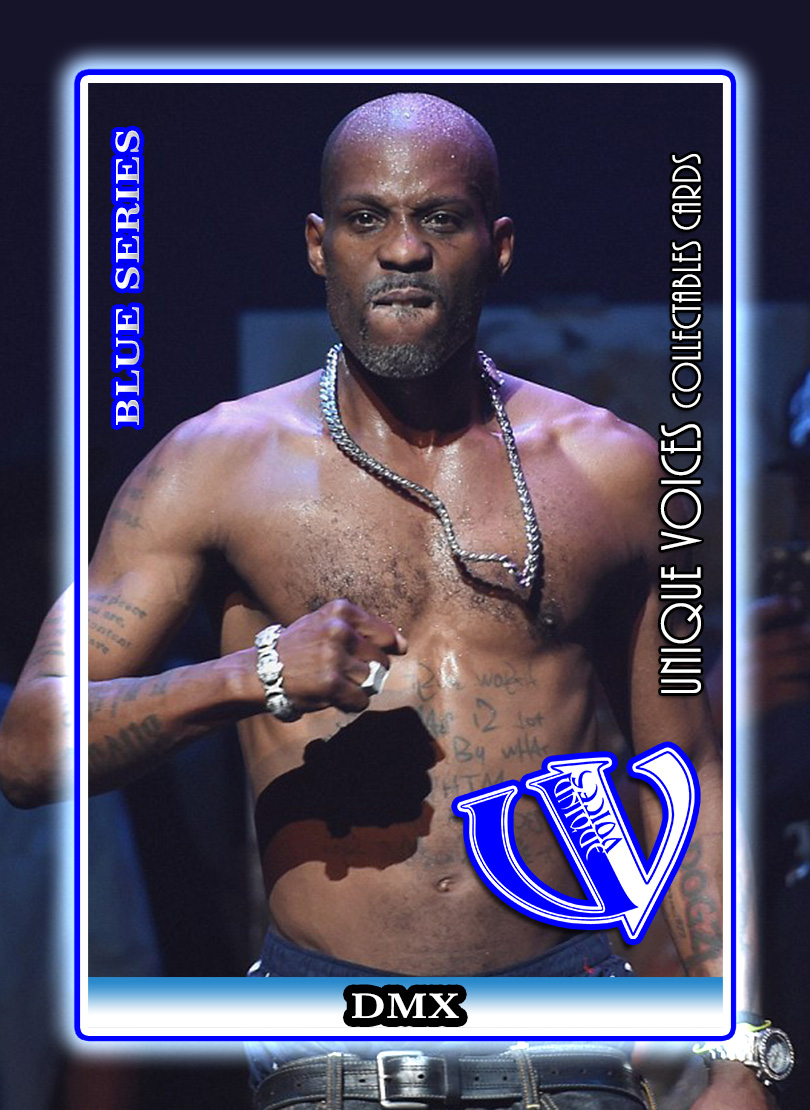 DMX Blue Card